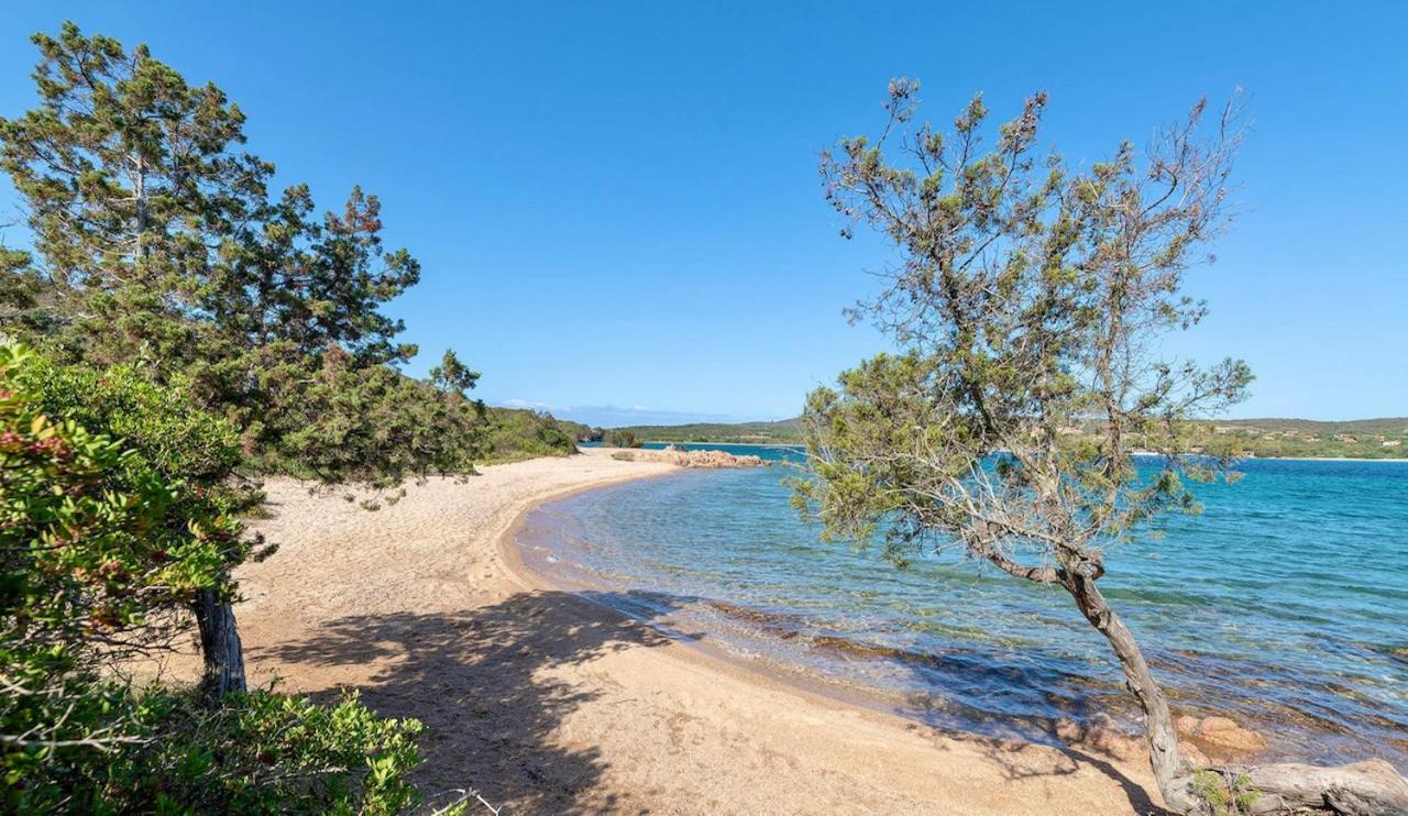 Residence Con Piscina A Palau, A Soli 150 Mt. Dal Mare Екстериор снимка